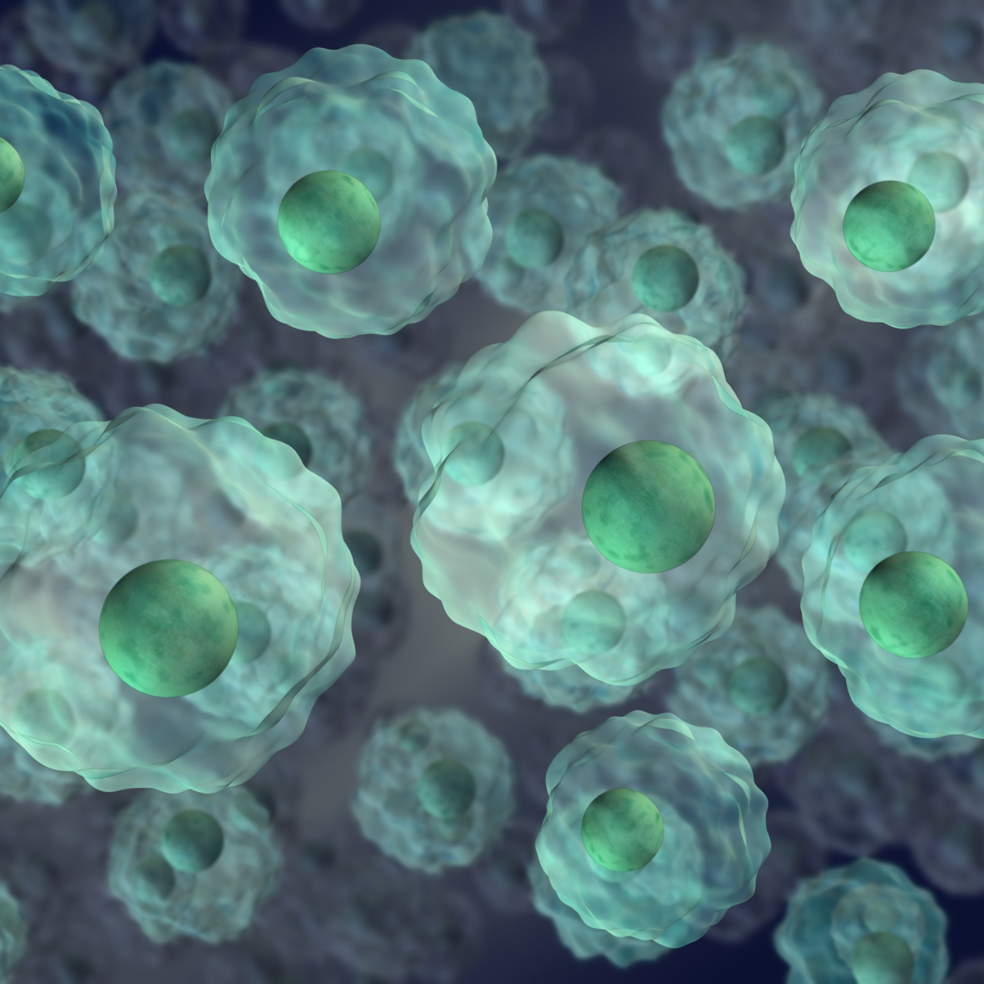 Oska Modulates eukaryotic cells