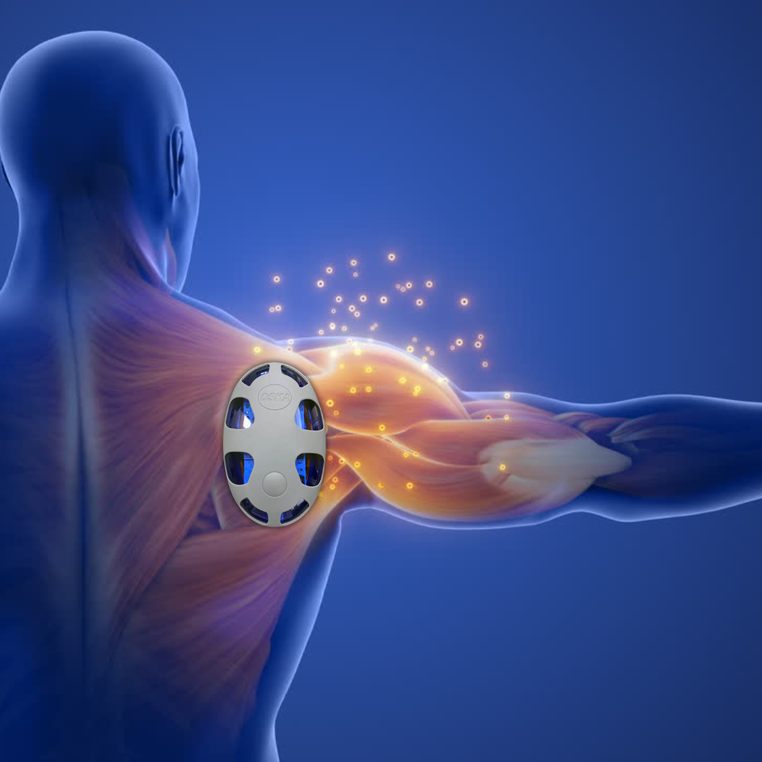 Oska Modulates eukaryotic cells